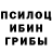 Псилоцибиновые грибы мухоморы Lidiya Pidenko