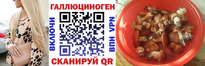 Псилоцибиновые грибы ЛСД  Купить где  Елизово 